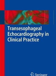 Transesophageal Echocardiography in Clinical Practice