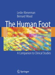 The Human Foot