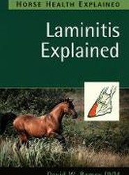 Laminitis Explained