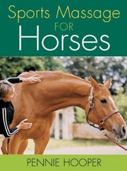 Sports Massage for Horses