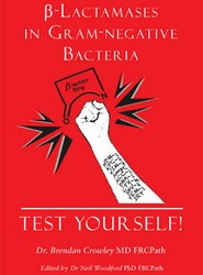 Beta-Lactamases in Gram-negative Bacteria - Test Yourself