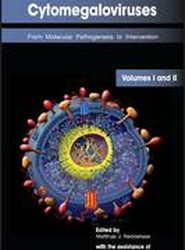 Cytomegaloviruses