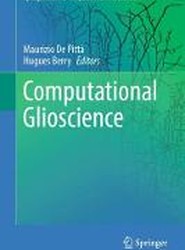Computational Glioscience