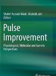 Pulse Improvement
