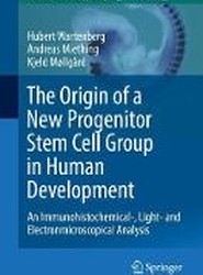The Origin of a New Progenitor Stem Cell Group in Human Development