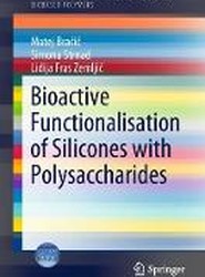 Bioactive Functionalisation of Silicones with Polysaccharides