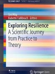 Exploring Resilience