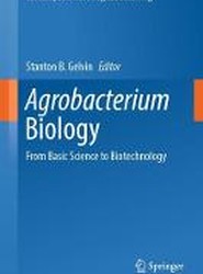 Agrobacterium Biology