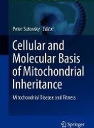 Cellular and Molecular Basis of Mitochondrial Inheritance