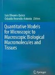 Quantitative Models for Microscopic to Macroscopic Biological Macromolecules and Tissues