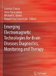 Emerging Electromagnetic Technologies for Brain Diseases Diagnostics, Monitoring and Therapy