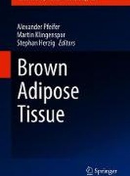 Brown Adipose Tissue