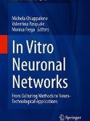 In Vitro Neuronal Networks