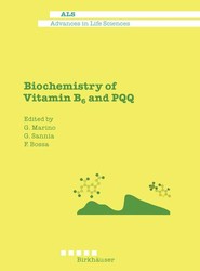Biochemistry of Vitamin B6 and PQQ