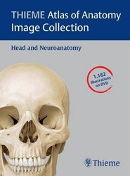 Thieme Atlas of Anatomy Image Collection: v. 3