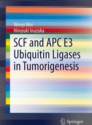 SCF and APC E3 Ubiquitin Ligases in Tumorigenesis