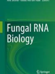 Fungal RNA Biology