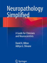 Neuropathology Simplified
