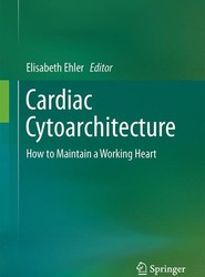 Cardiac Cytoarchitecture