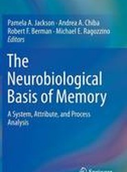 The Neurobiological Basis of Memory