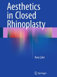 Aesthetic Septorhinoplasty