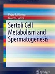 Sertoli Cell Metabolism and Spermatogenesis