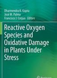 Reactive Oxygen Species and Oxidative Damage in Plants Under Stress