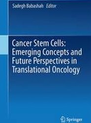 Cancer Stem Cells: Emerging Concepts and Future Perspectives in Translational Oncology
