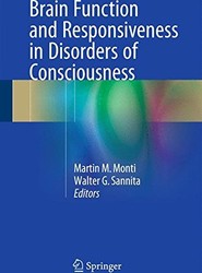 Brain Function and Responsiveness in Disorders of Consciousness