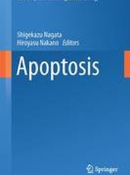 Apoptotic and Non-apoptotic Cell Death
