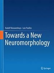 Towards a New Neuromorphology
