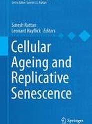 Cellular Ageing and Replicative Senescence