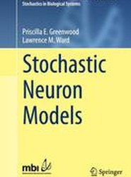 Stochastic Neuron Models