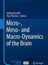 Micro-, Meso- and Macro-Dynamics of the Brain