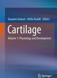 Cartilage