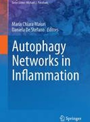 Autophagy Networks in Inflammation