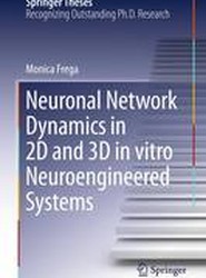 Neuronal Network Dynamics in 2D and 3D in vitro Neuroengineered Systems
