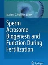 Sperm Acrosome Biogenesis and Function During Fertilization