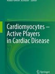 Cardiomyocytes - Active Players in Cardiac Disease