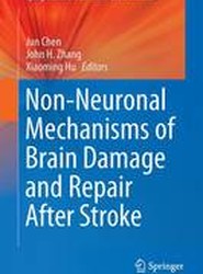 Non-Neuronal Mechanisms of Brain Damage and Repair After Stroke