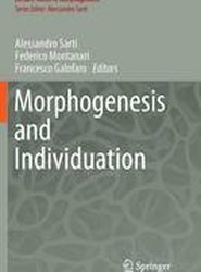 Morphogenesis and Individuation