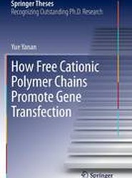 How Free Cationic Polymer Chains Promote Gene Transfection