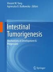 Intestinal Tumorigenesis
