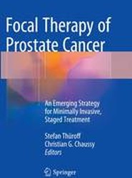 Focal Therapy of Prostate Cancer
