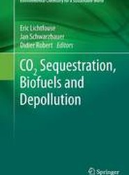 CO2 Sequestration, Biofuels and Depollution