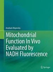 Mitochondrial Function In Vivo Evaluated by NADH Fluorescence