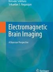 Electromagnetic Brain Imaging