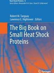 The Big Book on Small Heat Shock Proteins