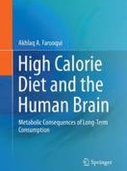 High Calorie Diet and the Human Brain