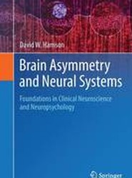 Brain Asymmetry and Neural Systems